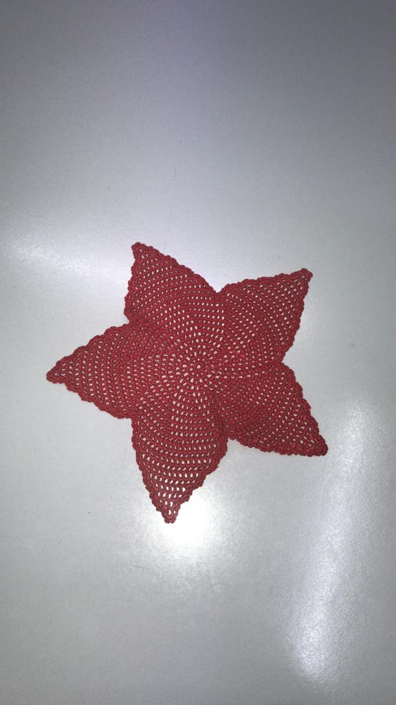 Bellissima stella di Natale